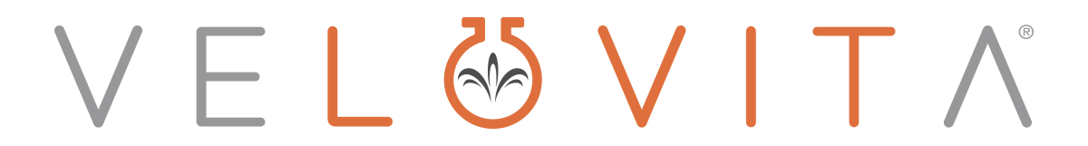 VV Logo