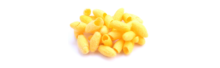 proteína-seda-móvil