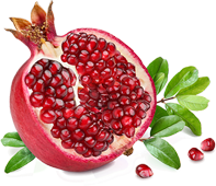 Pomegranate